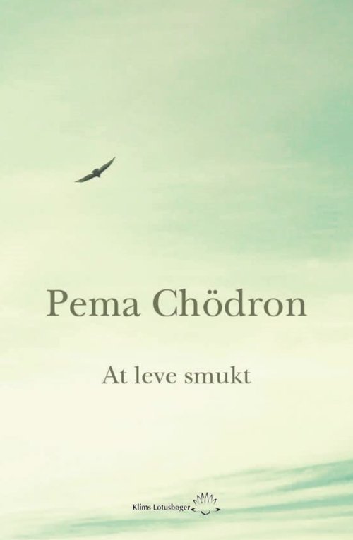 Cover for Pema Chödrön · At leve smukt (Sewn Spine Book) [1.º edición] (2017)