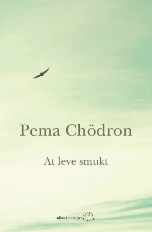 Cover for Pema Chödrön · At leve smukt (Hæftet bog) [1. udgave] (2017)