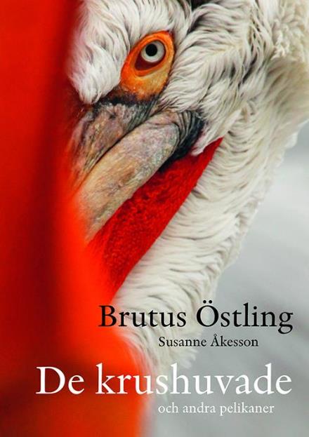 Cover for Östling Brutus · De krushuvade : och andra pelikaner / text: Susanne Åkesson (Bound Book) (2010)