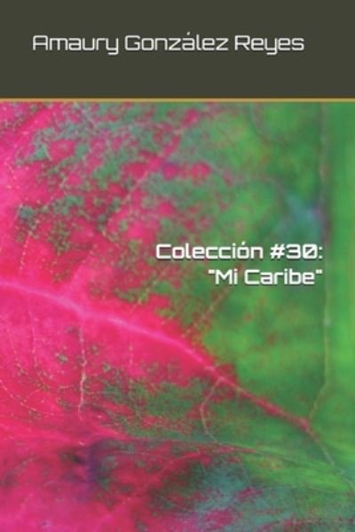 Cover for Amaury González Reyes · Coleccion #30 (Taschenbuch) (2020)