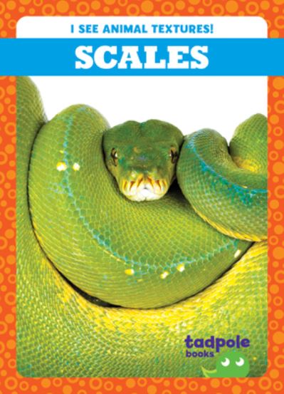 Scales - Gleisner - Books - Jump! Incorporated - 9798885240444 - 2023