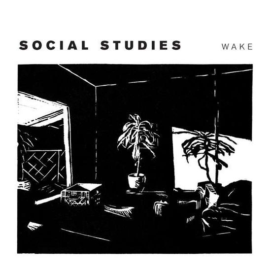 Cover for Social Studies · Wake (LP) (2015)