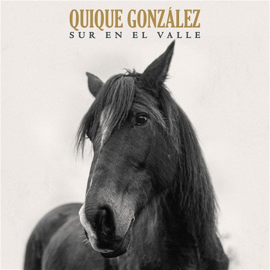 Cover for Quique Gonzalez · Sur En El Valle (LP) (2021)