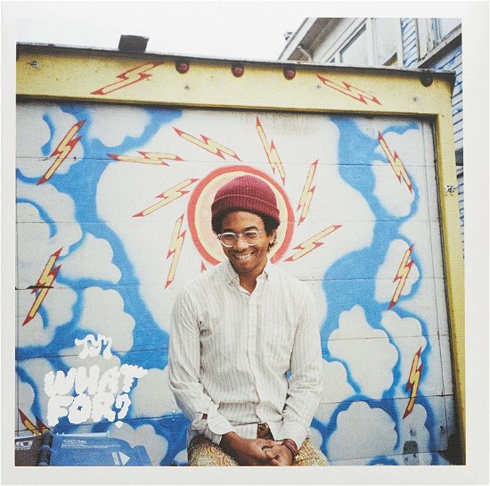 What For? - Toro Y Moi - Musik -  - 9332727033445 - 3. april 2015