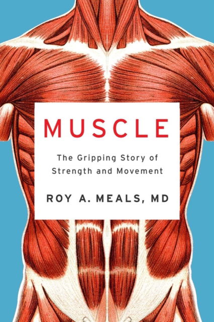 Cover for Meals, Roy A. (UCLA) · Muscle: The Gripping Story of Strength and Movement (Hardcover Book) (2023)