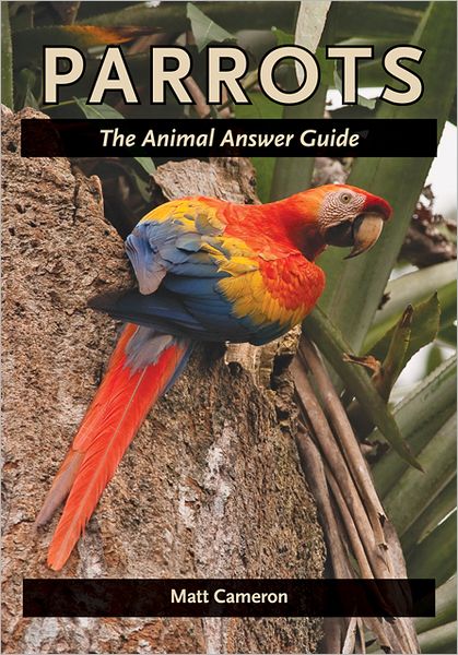 Cover for Matt Cameron · Parrots: The Animal Answer Guide - The Animal Answer Guides: Q&amp;A for the Curious Naturalist (Paperback Book) (2012)