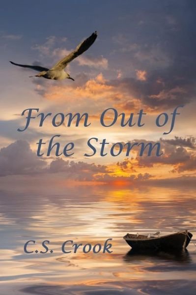 From out of the Storm - C S Crook - Bøger - Createspace - 9781492852445 - 22. oktober 2013