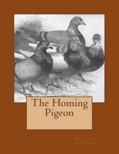 Cover for Edgar Chamberlain · The Homing Pigeon (Paperback Book) (2016)