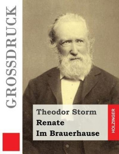 Cover for Theodor Storm · Renate / Im Brauerhause (Grossdruck) (Paperback Bog) (2016)