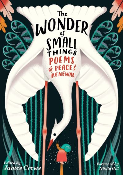 Cover for James Crews · The Wonder of Small Things: Poems of Peace and Renewal (Paperback Book) (2023)