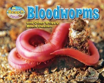 Cover for Ellen Lawrence · Bloodworms and Other Wriggly Beach Dwellers (Book) (2017)