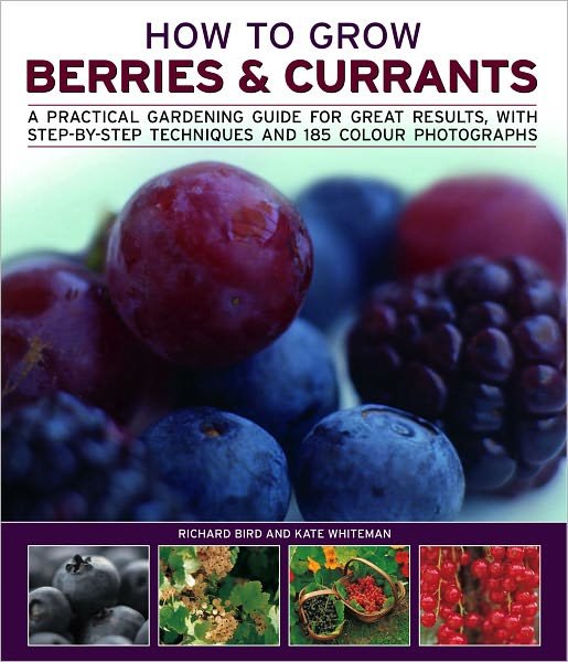 Cover for Richard Bird · How to Grow Berries and Currants: A Practical Gardening Guide for Great Results, with Step-by-step Techniques and 185 Colour Photographs (Pocketbok) (2011)