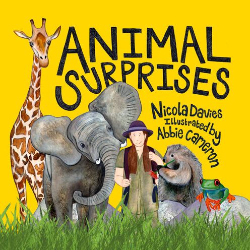 Cover for Nicola Davies · Animal Surprises (Hardcover Book) (2016)