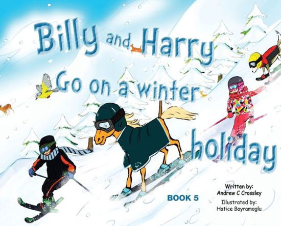 Billy and Harry Go on a Winter Holiday - Andrew Crossley - Książki - Busybird Publishing - 9781925949445 - 16 września 2019