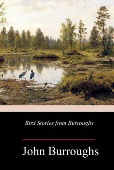 Cover for John Burroughs · Bird Stories from Burroughs (Pocketbok) (2018)