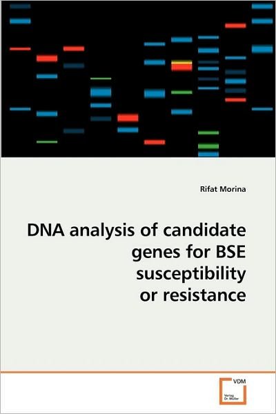 Cover for Rifat Morina · Dna Analysis of Candidate Genes for Bse Susceptibility or Resistance (Pocketbok) (2010)