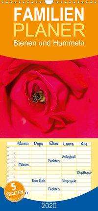 Cover for Bangert · Bienen und Hummeln - Familienpl (Book)