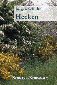 Cover for Schulte · Hecken (Book)