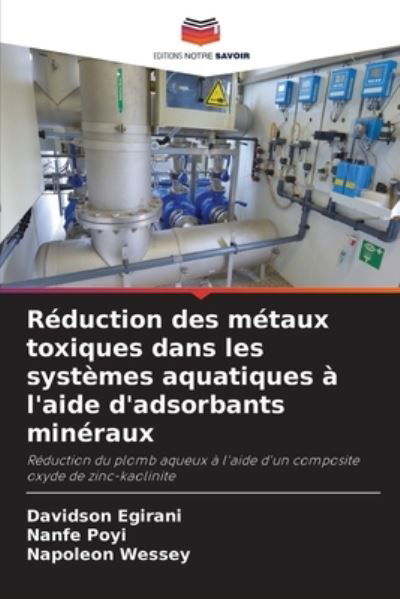 Cover for Egirani · Réduction des métaux toxiques d (Bok) (2020)