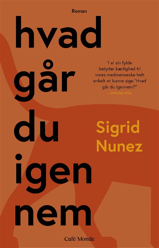 Sigrid Nunez · Hvad Går Du Igennem (Indbundet Bog) [1. udgave] (2024)