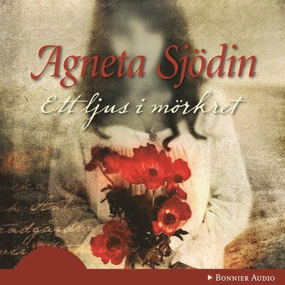 Cover for Agneta Sjödin · Ett ljus i mörkret (Audiobook (MP3)) (2009)