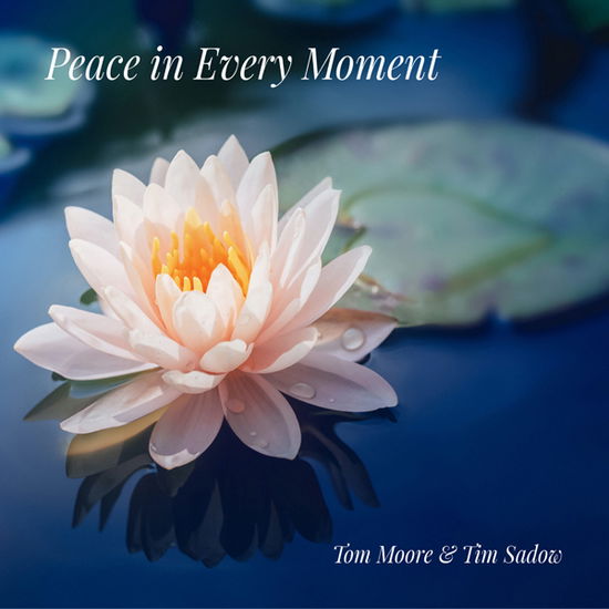 Cover for Tom Moore &amp; Tim Sadow · Peace In Every Moment (CD) (2020)