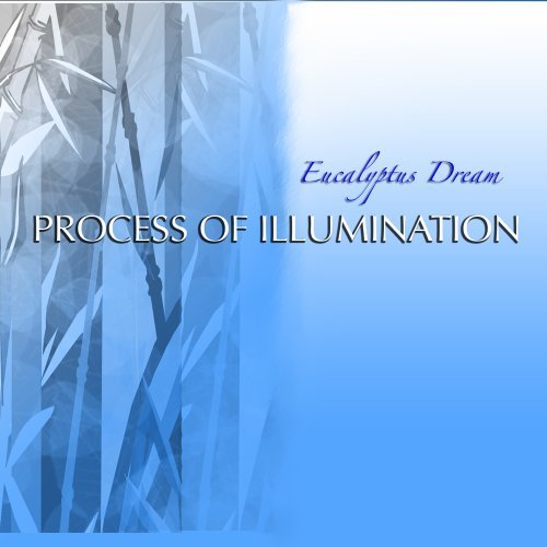 Cover for Eucalyptus Dream · Process of Illumination (CD) (2009)