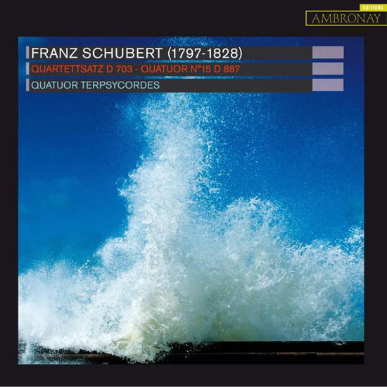 Quartettsatz D703 - Franz Schubert - Musik - AMBRONAY - 3760135100446 - 23. september 2015