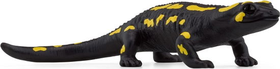 Salamandra Pezzata - Schleich: Wild Life - Gadżety -  - 4059433789446 - 