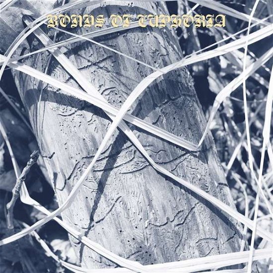 Cover for Abest · Bonds Of Euphoria (CD) (2019)