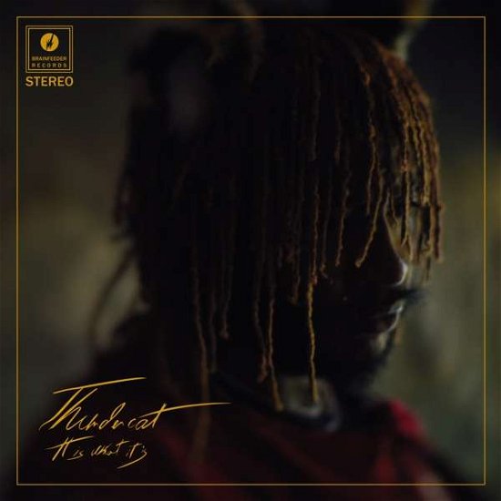 Cover for Thundercat · It Is What It Is (CD) (2020)