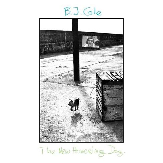 The New Hovering Dog - Bj Cole - Musikk - EAST CENTRAL ONE - 5060051333446 - 5. januar 2018