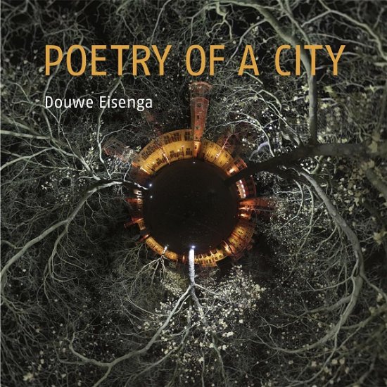 Poetry Of A City - Douwe Eisenga - Musik - BUTLER RECORDS - 8718627232446 - 22. september 2023