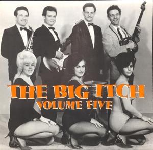 Cover for Various Artists · Big Itch, Vol. 5 (LP) (1990)