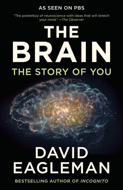 Cover for David Eagleman · The Brain: The Story of You (Pocketbok) (2017)
