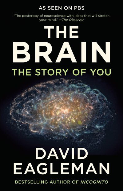 Cover for David Eagleman · The Brain: The Story of You (Paperback Book) (2017)