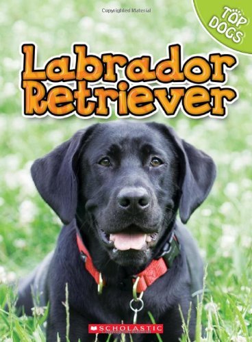 Cover for Linda George · Labrador Retriever (Top Dogs (Children's Press)) (Hardcover Book) (2010)
