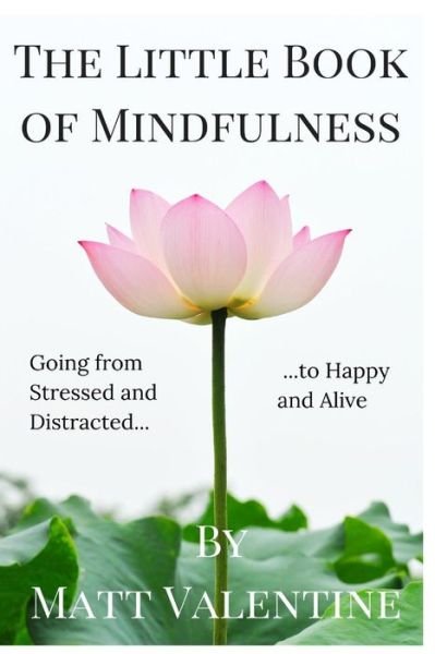 The Little Book of Mindfulness - Matt Valentine - Libros - Buddhaimonia Publishing - 9780692328446 - 20 de noviembre de 2014