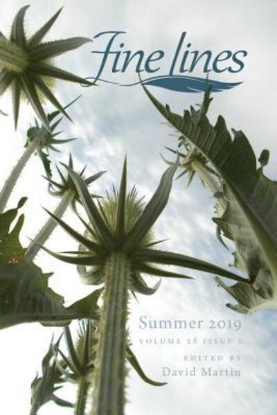 Cover for David Martin · Fine Lines Summer 2019 (Paperback Bog) (2019)