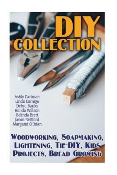 Cover for Ashly Cartman · DIY Collection (Paperback Book) (2017)