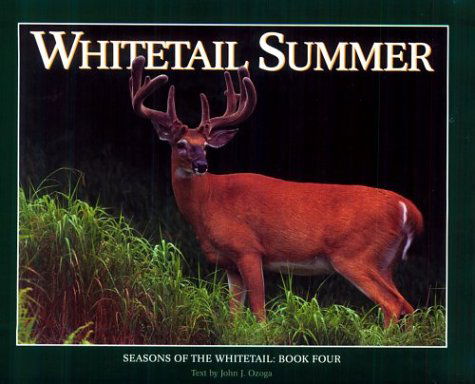 Cover for John J. Ozoga · Whitetail Summer (Seasons of the Whitetail / John J. Ozoga, Bk 4) (Hardcover Book) [First edition] (1997)