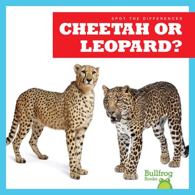 Cheetah or Leopard? - Gleisner - Books - Jump! Incorporated - 9781636903446 - 2022