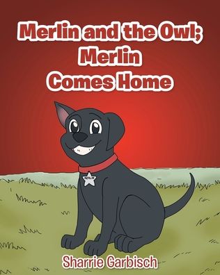 Cover for Sharrie Garbisch · Merlin and the Owl: Merlin Comes Home (Paperback Book) (2020)