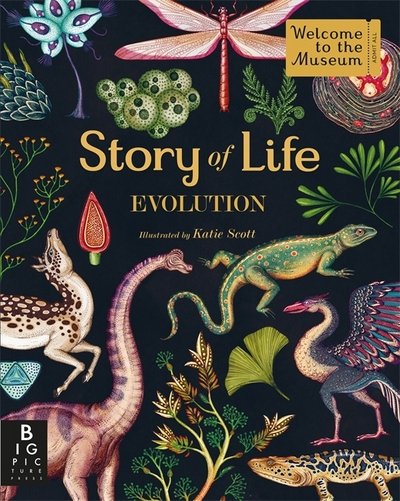 Cover for Katie Scott · Story of Life: Evolution - Welcome To The Museum (Gebundenes Buch) (2015)