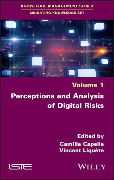 Cover for C Capelle · Perceptions and Analysis of Digital Risks (Hardcover Book) (2022)