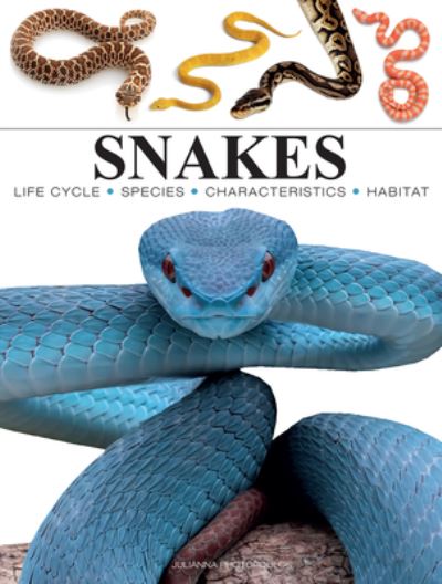 Snakes - Mini Animals - Julianna Photopoulos - Książki - Amber Books Ltd - 9781838864446 - 14 sierpnia 2024