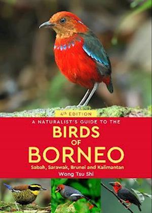 Cover for Wong Tsu Shi · A Naturalist's Guide to the Birds of Borneo: Sabah, Sarawak, Brunei and Kalimantan - Naturalists' Guides (Paperback Book) (2023)