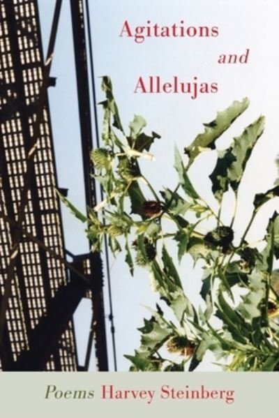 Agitations and Allelujas - Harvey Steinberg - Libros - Ragged Sky Press - 9781933974446 - 3 de marzo de 2022