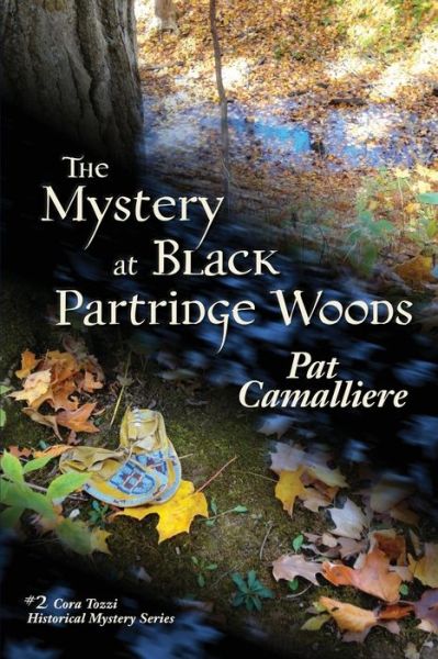 Cover for Pat Camalliere · The Mystery at Black Partridge Woods (Paperback Book) (2016)