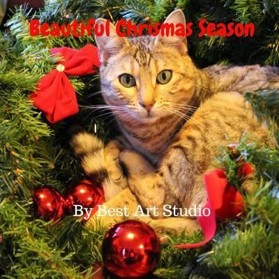 Cover for Best Art Studio · Beautiful Christmas Season (Paperback Book) (2017)